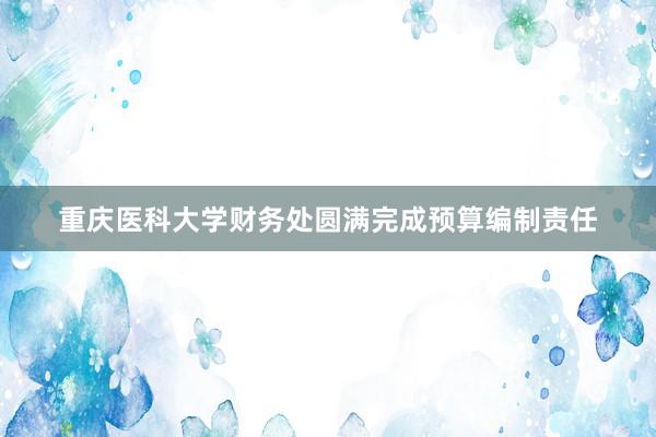 重庆医科大学财务处圆满完成预算编制责任