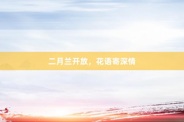 二月兰开放，花语寄深情